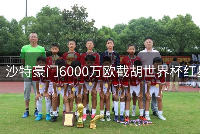 沙特豪门6000万欧截胡世界杯红星 荷兰飞翼加盟创联赛第二身价